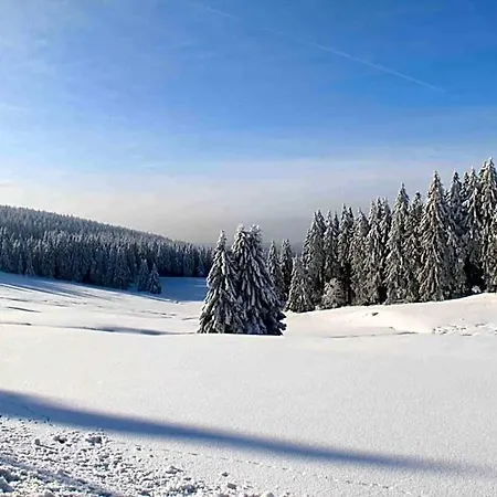 Njord 4*